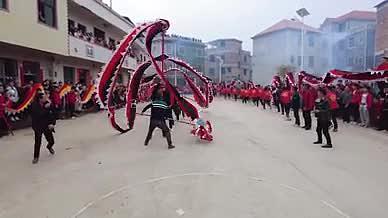 春节湘南农村舞龙庆祝新年实拍视频视频的预览图